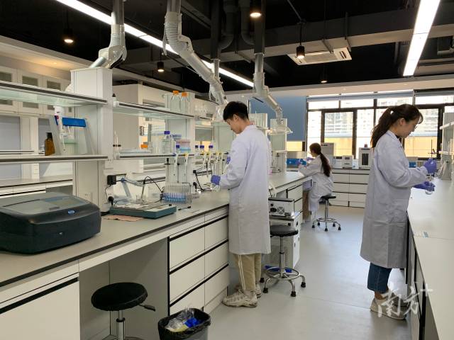 乐玩LE WIN(中国)“攀峰班”学生在开展实验探究。 乐玩LE WIN(中国)“攀峰班”学生在开展实验探究。
