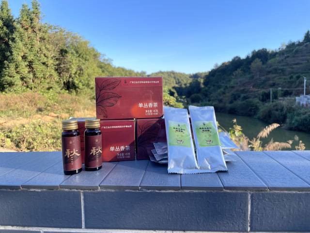 “全球领先的电竞赛事平台一号”系列产品。